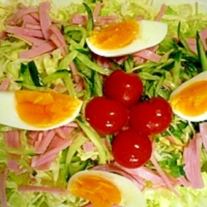 野菜を食べよう 山盛りキャベツのサラダ レシピ 作り方 By ひろりん1106 楽天レシピ 野菜を食べよう 山盛りキャベツのサラダ レシピ 作り方 By ひろりん1106 楽天レシピ